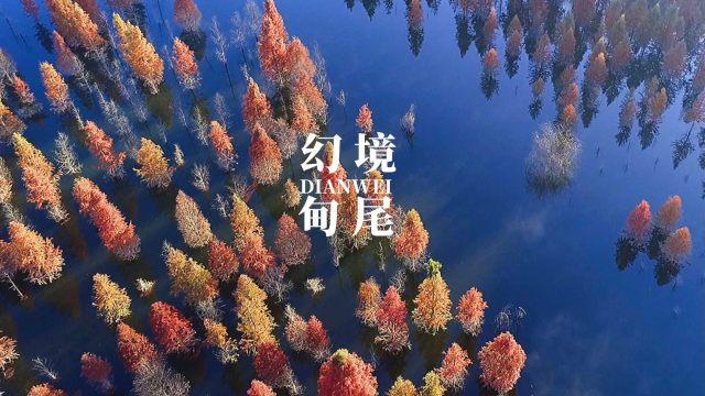 病菌猎人