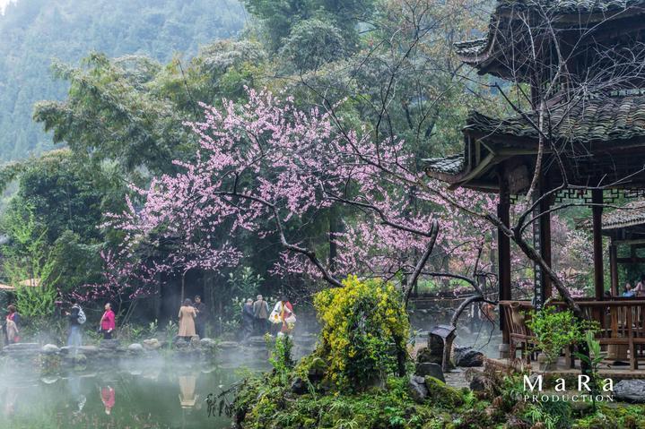 谁说极寒不能谈续航，星途瑶光C-DM用一场零下32度1200km直播印证超强产品力