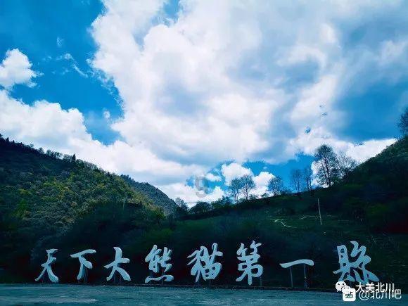 极品飞车18