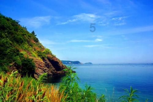 丧尸围城4