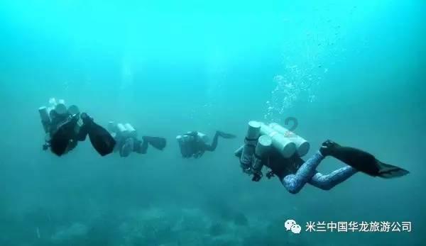 洋葱可以放入冰箱冷藏吗?游戏画面