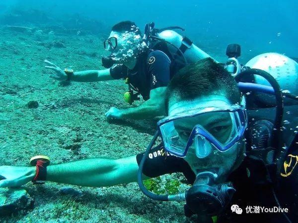 看门狗