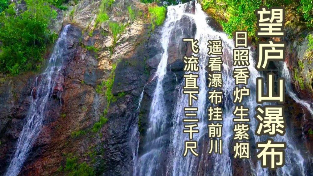 瑞德的冒险之旅中文版