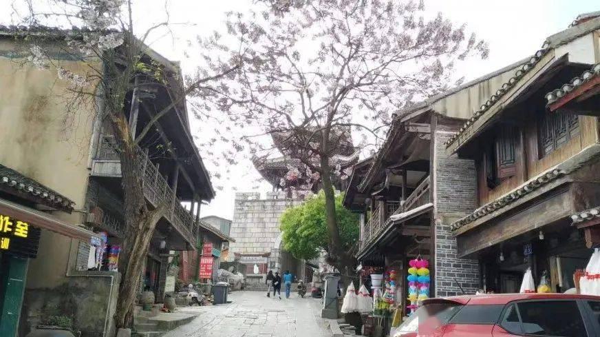 如何从行驶证上看发动机牌子？